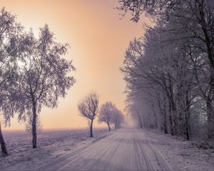 Preview wallpaper winter, road, snow, trees, fog