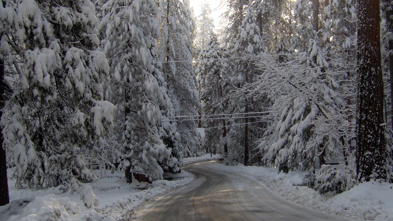 Wallpaper winter, road, snow, fur-trees