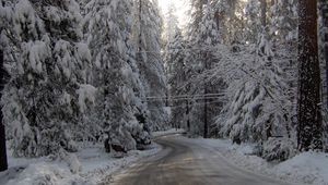 Preview wallpaper winter, road, snow, fur-trees