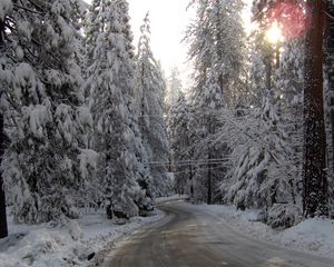 Preview wallpaper winter, road, snow, fur-trees