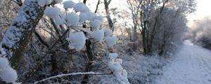 Preview wallpaper winter, road, snow, grass, frost