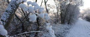 Preview wallpaper winter, road, snow, grass, frost