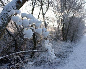 Preview wallpaper winter, road, snow, grass, frost