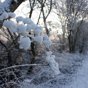 Preview wallpaper winter, road, snow, grass, frost