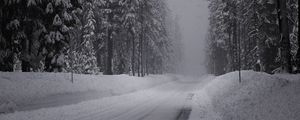 Preview wallpaper winter, road, snow, fir grove, panorama