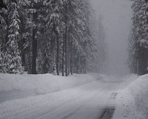 Preview wallpaper winter, road, snow, fir grove, panorama