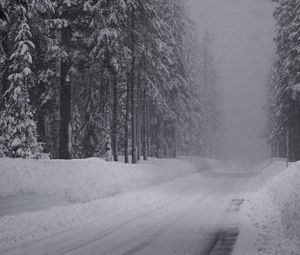 Preview wallpaper winter, road, snow, fir grove, panorama