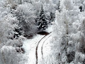 Preview wallpaper winter, road, snow, hoarfrost, trees, from above, frosts