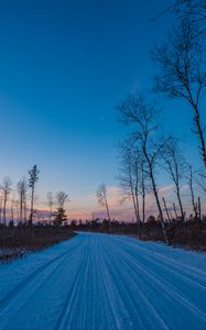 Preview wallpaper winter, road, trees, horizon, sky