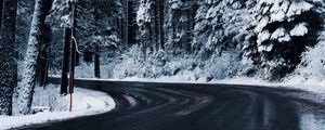 Preview wallpaper winter, road, trees, snow, turn