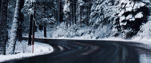 Preview wallpaper winter, road, trees, snow, turn