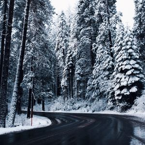 Preview wallpaper winter, road, trees, snow, turn