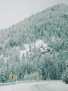 Preview wallpaper winter, signs, forest, trees, turn, mountains