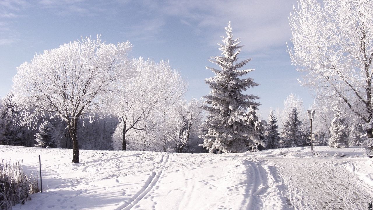 Wallpaper winter, ski track, traces, trees, snow, mountains, day