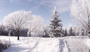 Preview wallpaper winter, ski track, traces, trees, snow, mountains, day