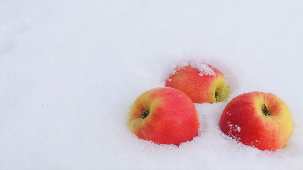 Wallpaper winter, snow, apples, cold, new year