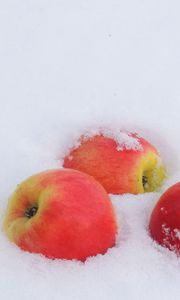 Preview wallpaper winter, snow, apples, cold, new year