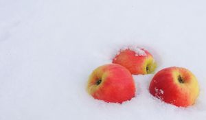 Preview wallpaper winter, snow, apples, cold, new year