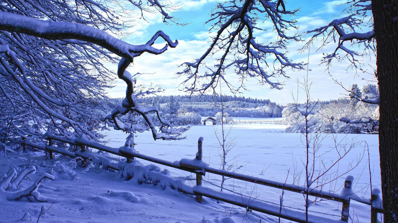 Wallpaper winter, snow, branches, fence, winter landscape