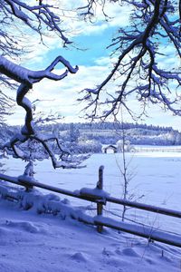 Preview wallpaper winter, snow, branches, fence, winter landscape