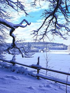Preview wallpaper winter, snow, branches, fence, winter landscape