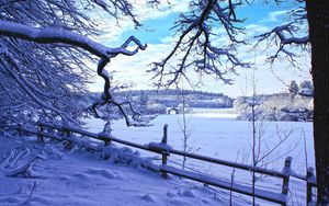 Preview wallpaper winter, snow, branches, fence, winter landscape