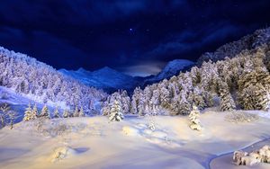 Preview wallpaper winter, snow, cover, night, light, trees, coniferous, stars, dark blue, white