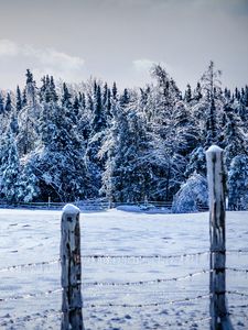 Preview wallpaper winter, snow, fence, trees