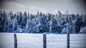 Preview wallpaper winter, snow, fence, trees