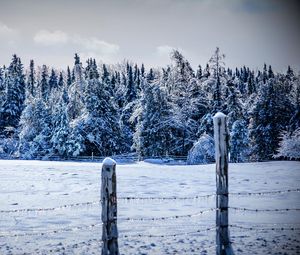 Preview wallpaper winter, snow, fence, trees