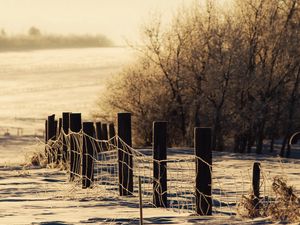 Preview wallpaper winter, snow, fence, protection, snowdrifts, cover, trees