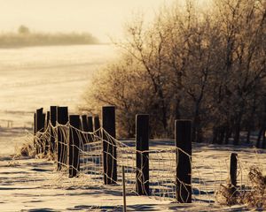 Preview wallpaper winter, snow, fence, protection, snowdrifts, cover, trees