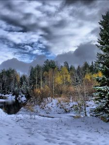 Preview wallpaper winter, snow, fir-trees, clouds, cloudy, trees, traces, protector
