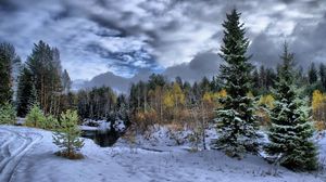 Preview wallpaper winter, snow, fir-trees, clouds, cloudy, trees, traces, protector