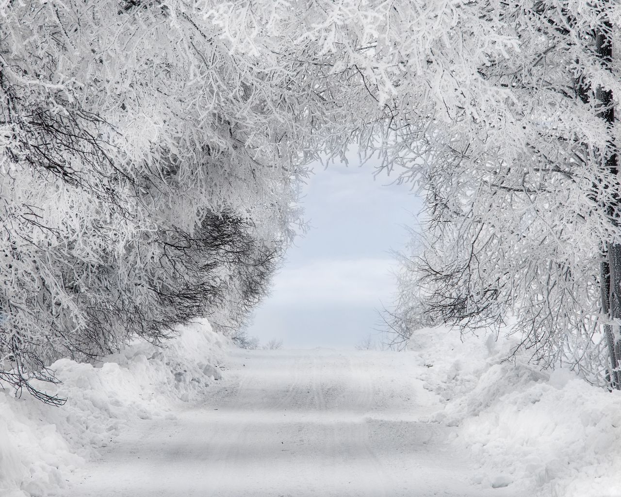 Download Wallpaper 1280x1024 Winter Snow Forest Road Arch Branches