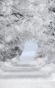 Preview wallpaper winter, snow, forest, road, arch, branches, frost