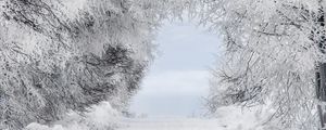 Preview wallpaper winter, snow, forest, road, arch, branches, frost