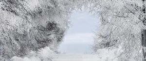 Preview wallpaper winter, snow, forest, road, arch, branches, frost