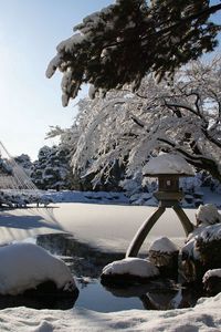 Preview wallpaper winter, snow, garden, lake, lamp, light, sun