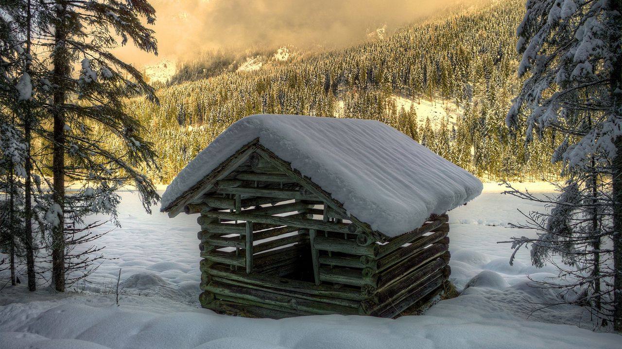 Wallpaper winter, snow, house, construction, forest, spruce, trees, logs