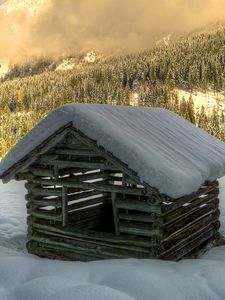 Preview wallpaper winter, snow, house, construction, forest, spruce, trees, logs