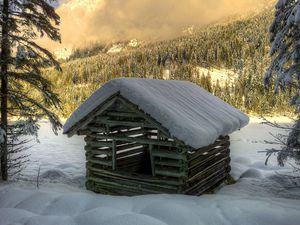 Preview wallpaper winter, snow, house, construction, forest, spruce, trees, logs