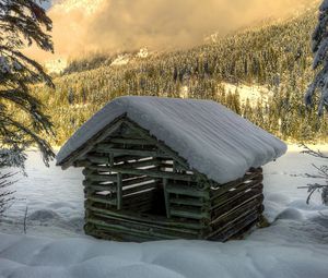 Preview wallpaper winter, snow, house, construction, forest, spruce, trees, logs