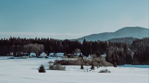 Preview wallpaper winter, snow, landscape, village, trees