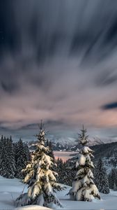 Preview wallpaper winter, snow, mountains, sunset, fir trees
