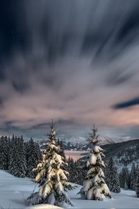 Preview wallpaper winter, snow, mountains, sunset, fir trees