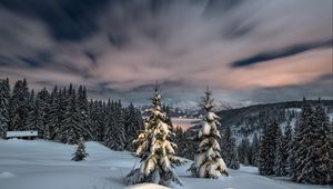 Preview wallpaper winter, snow, mountains, sunset, fir trees