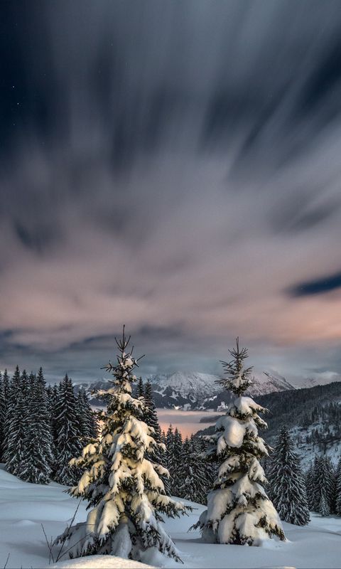 480x800 Wallpaper winter, snow, mountains, sunset, fir trees