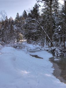 Preview wallpaper winter, snow, river, forest, landscape