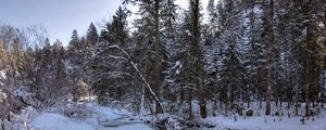 Preview wallpaper winter, snow, river, forest, landscape